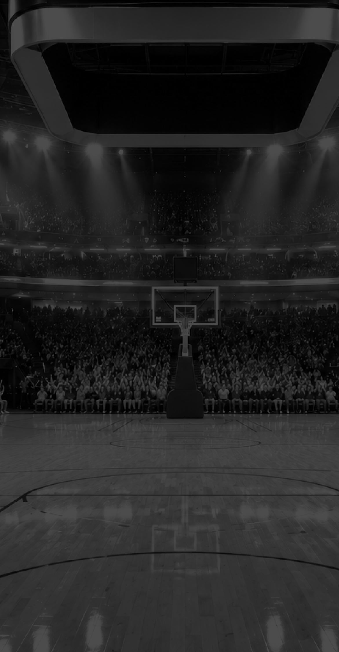 Boston Celtics basketball player