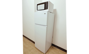 55 John Street - Apartment-Style Fridge and Microwave Example 