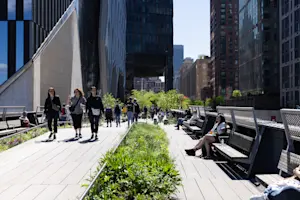 Hudson Yards Campus - The High Line 