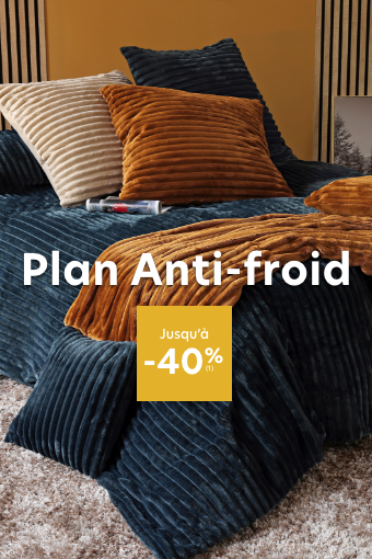 Plan anti-froid 