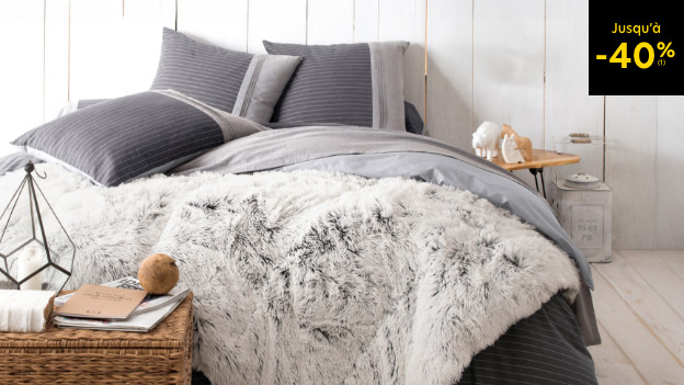 Plan anti-froid jusqu'à -40%