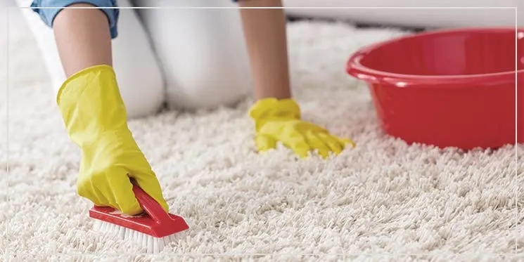How to Wash Your Rug - Guide & Tips in the benuta Blog