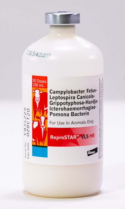 ReproSTAR VL5 HB