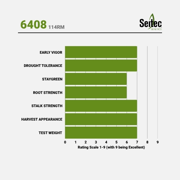 6408 - Chart