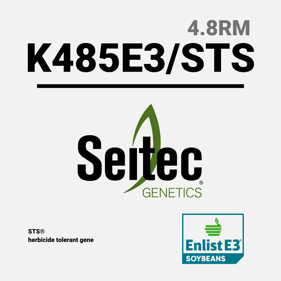 K485E3 STS