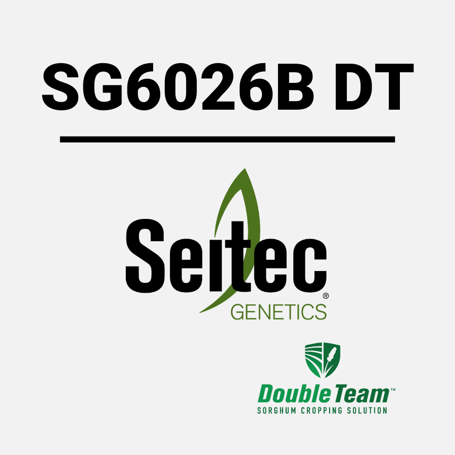 SG6026B DT