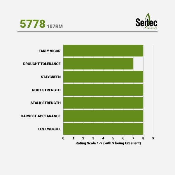 5778 - Chart