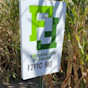 Corn F2F1C-980 Treated