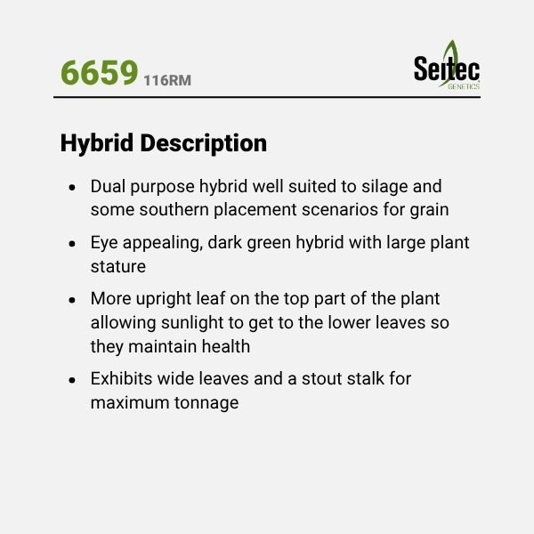 6659 - HD
