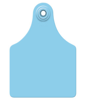 Allflex Global Maxi, Blank, 25 Count (Blue)