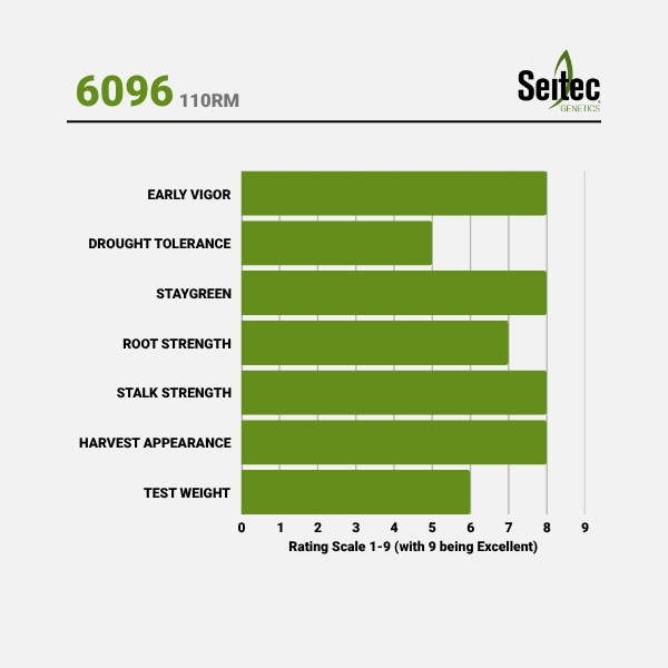6096 - Chart