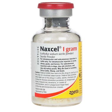Naxcel® 1 g Sterile Powder