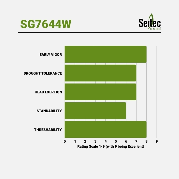 SG7644W - Chart