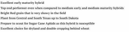 Sorghum W 5716 STD Treated