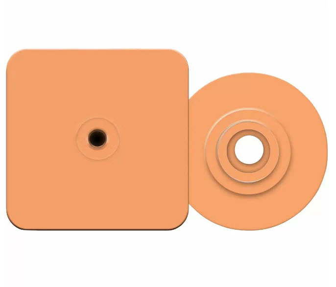 allflex-piglet--blank--orange