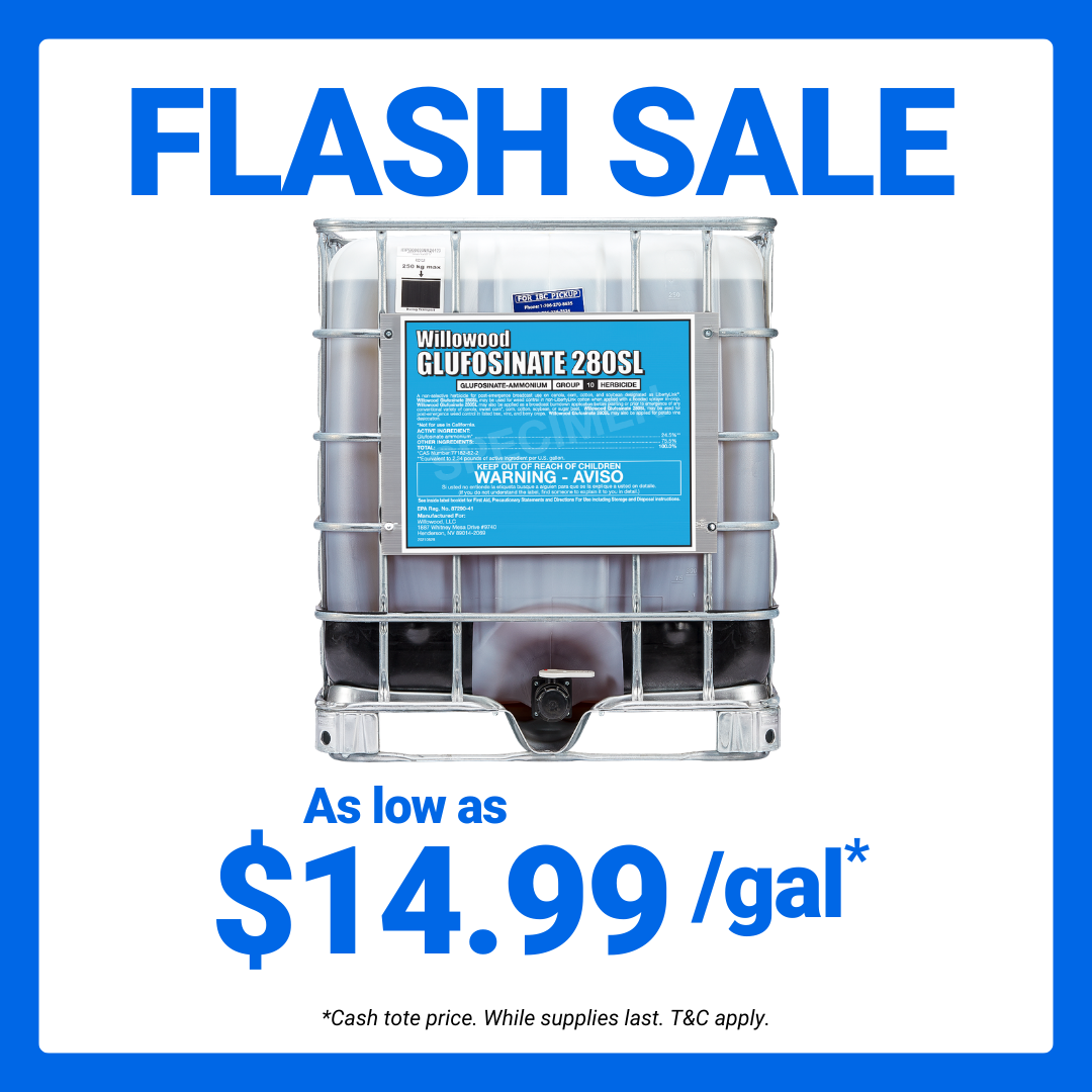 WW Gluf Flash Sale