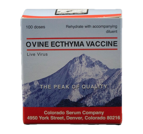 Ovine Ecthyma
