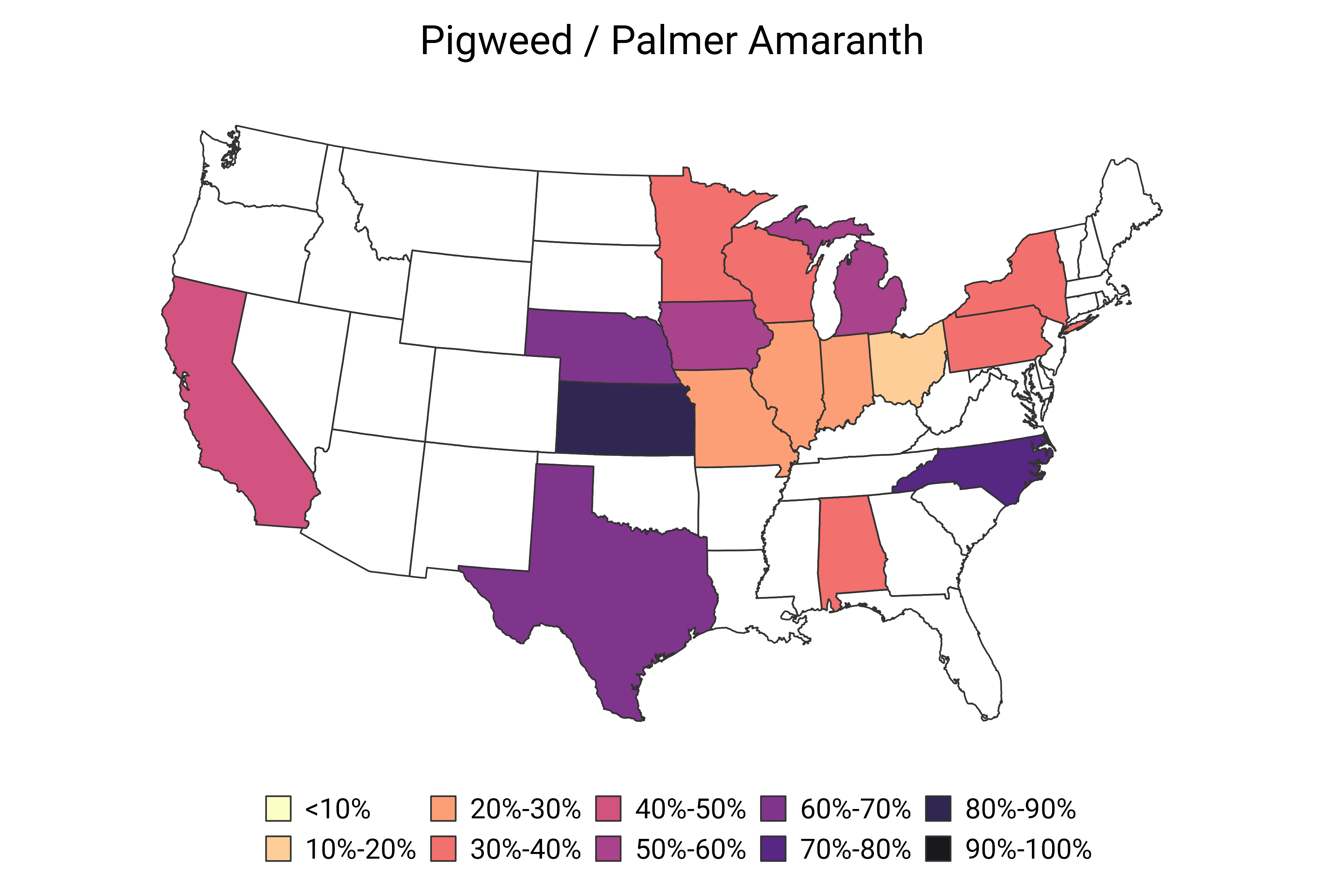 Pigweed / Palmer Amaranth  (June 2024)