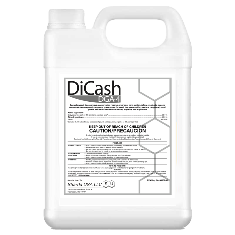 DiCash DGA-jug 800x800