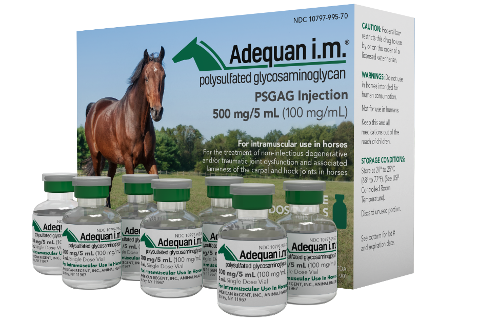 Adequan im. Injection for Horses Single Dose, 5 mL