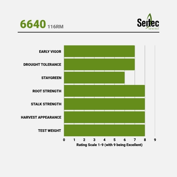 6640 - Chart