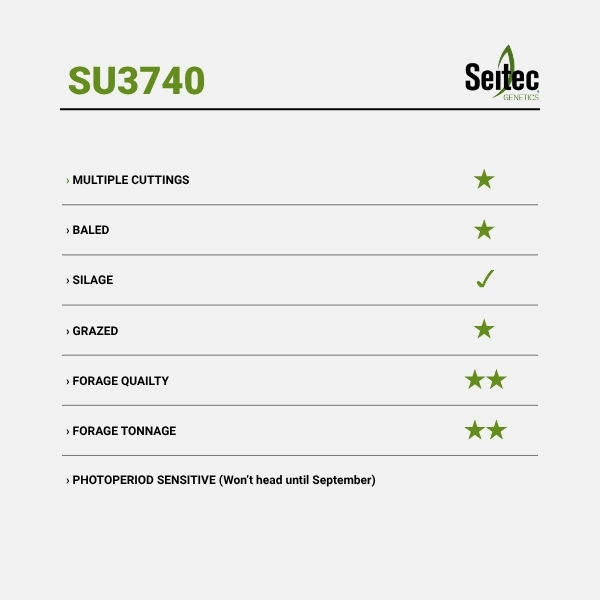 SU3740 - Chart