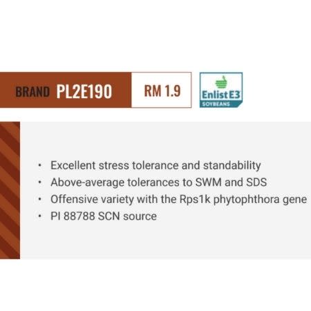 Soybean PL2E190 Treated