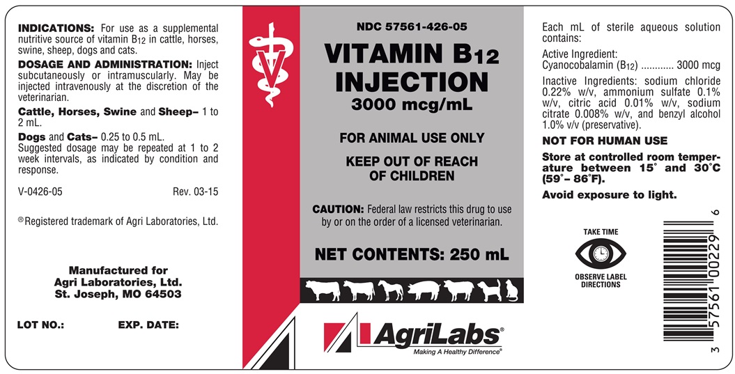 vitamin-b12-3000--250ml