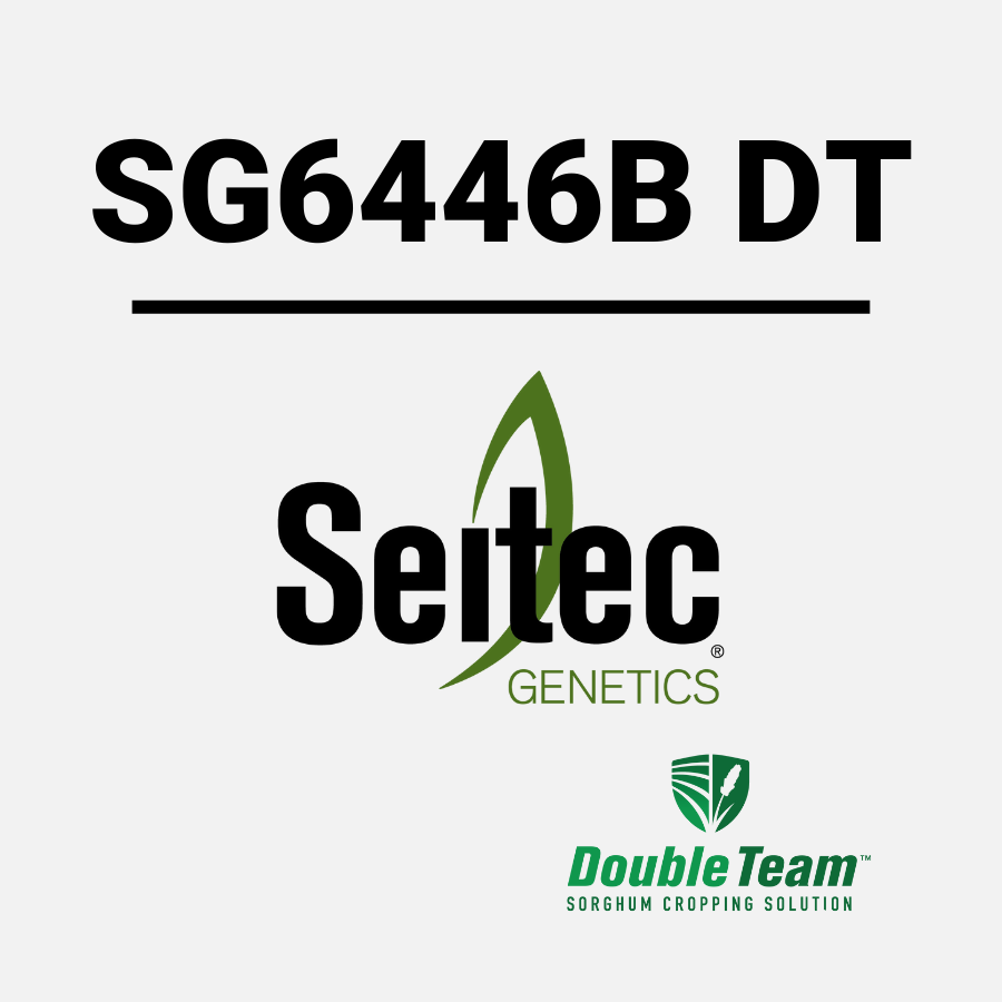 SG6446B DT