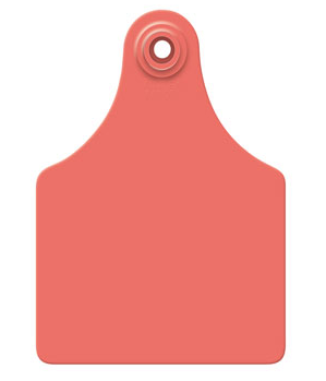 Allflex Global Maxi, Blank, 25 Count (Red)