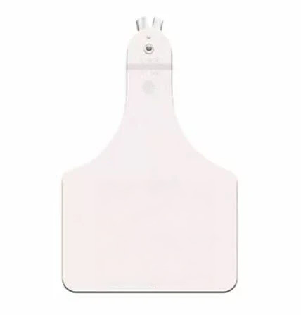 allflex-atag--feedlot--blank--white