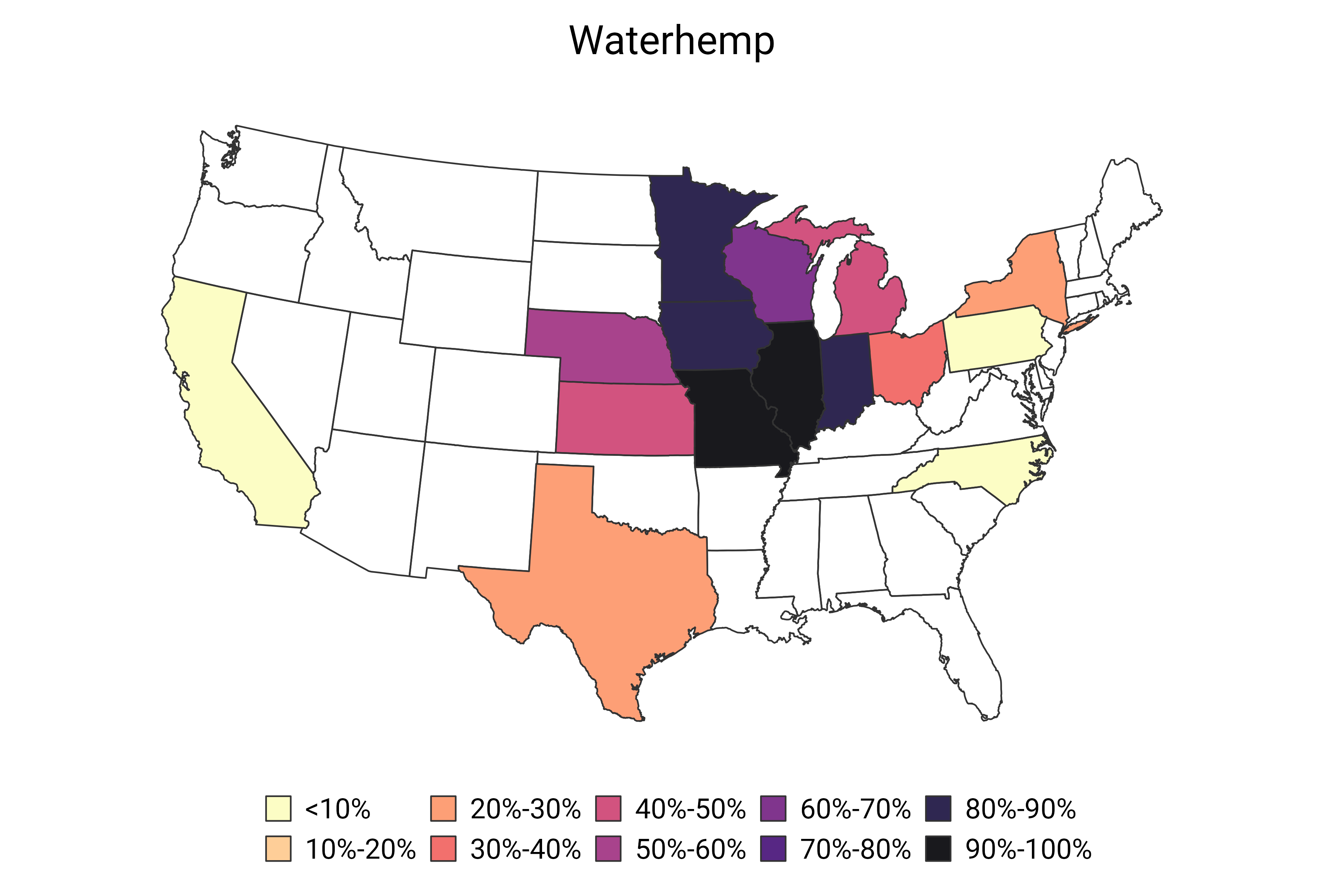 Waterhemp (June 2024)