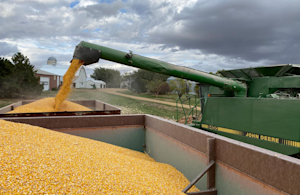 Hero Image: Track and Manage Crop Marketing Activities with FBN® Profit Center