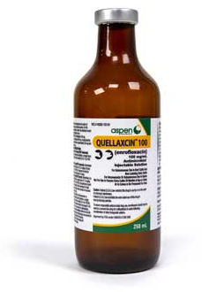 Quellaxcin 100 Injection (Enrofloxacin)