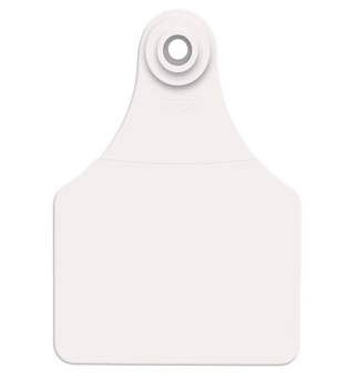 Allflex Global Large, Blank, 25 Count (White)