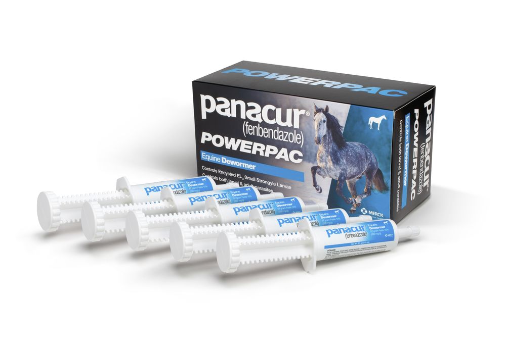 fbn-panacur-powerpac-equine-dewormer-5x57g