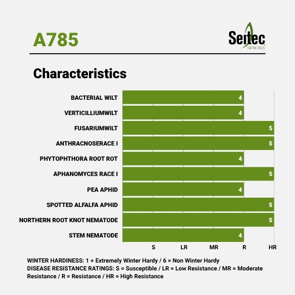A785 - Chart