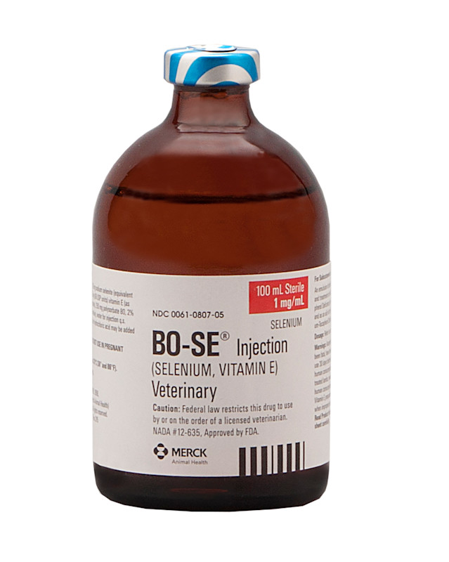 BO-SE
