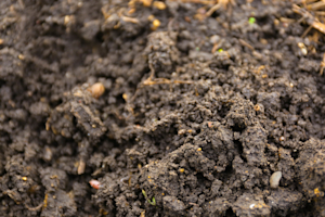 Hero Image: What’s in Your Soil: Making Sense out of Macronutrients