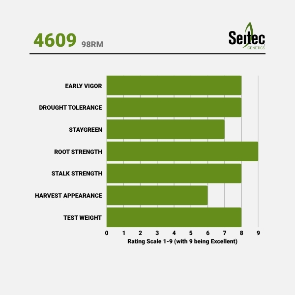 4609 - Chart
