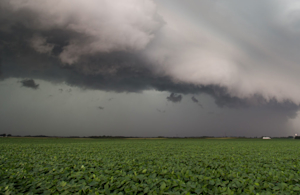Hero Image: What Is Crop-Hail Insurance and How Can it Protect You Against Loss?
