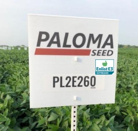 Soybean PL2E260 Untreated