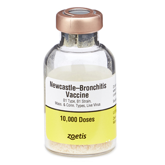 fbn-newcastle-bronchitis-vaccine-b1-type--b1-strain--mass-and-conn-types--live-virus-merial