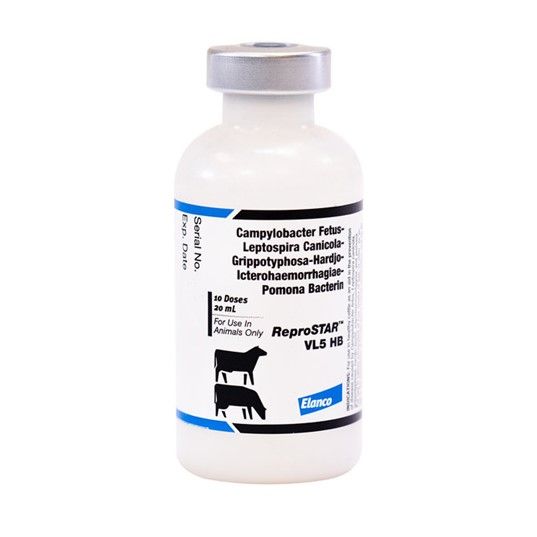 reprostar-vl5-hb-10-dose