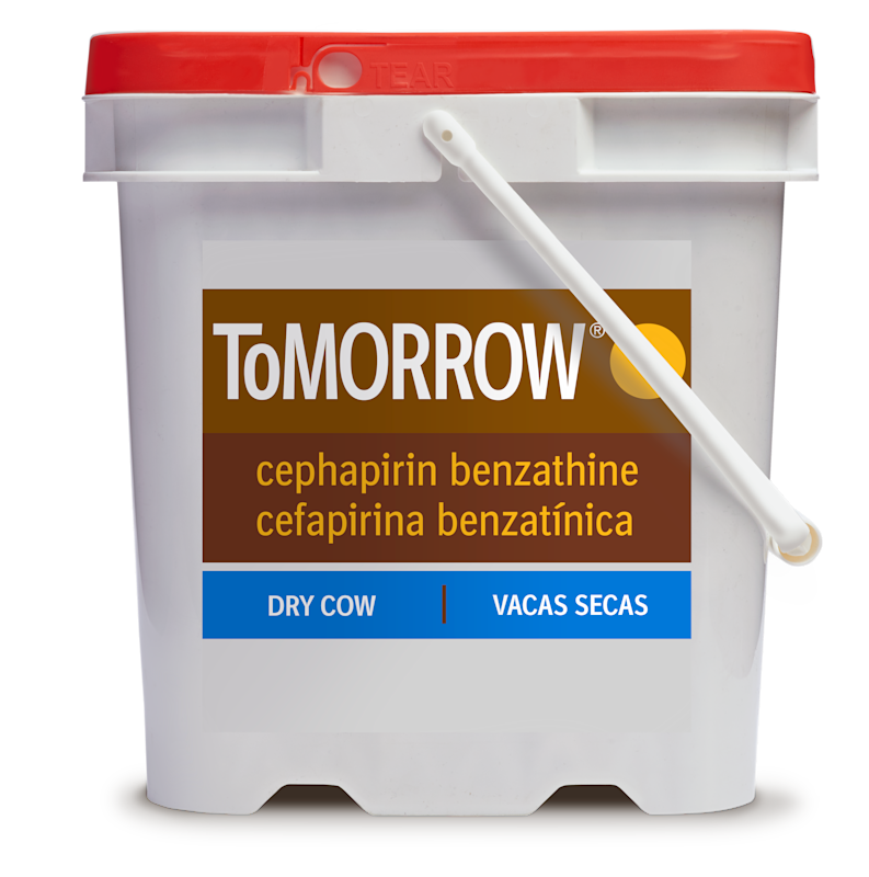 Tomorrow Intramammary Infusion