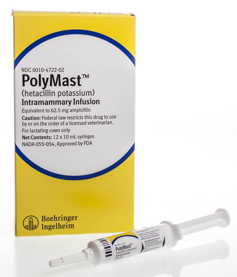 polymast--12ct