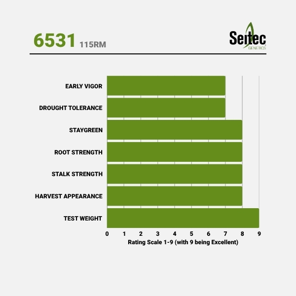 6531 - Chart