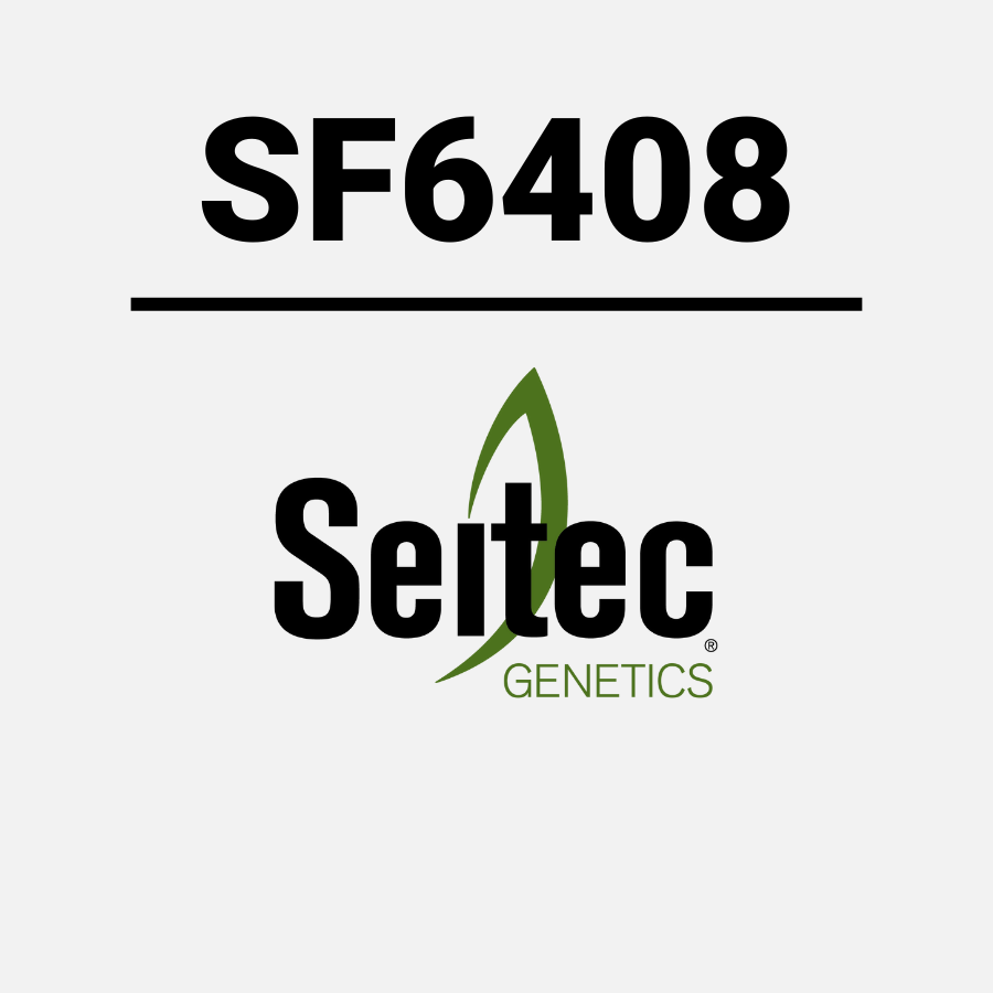 SF6408