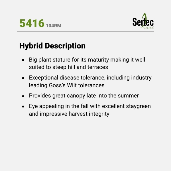 5416 - HD