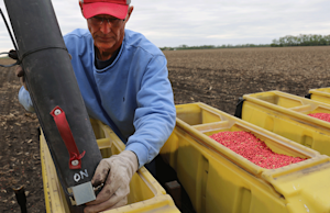 Hero Image: What Can You Expect to Pay for Corn and Soybean Seed Traits?